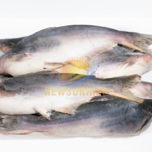 Alternative view of Pangasius Whole Round