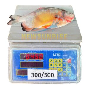 Alternative view of Red Pacu Whole Round