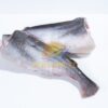 Pangasius HGT