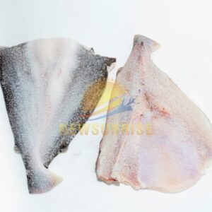 Pangasius Butterfly