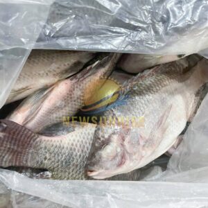 Alternative view of Tilapia Whole Round