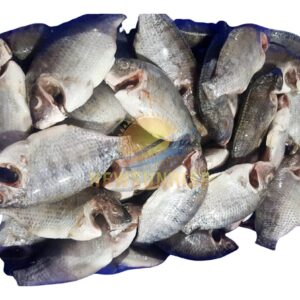 Tilapia Head C Cut